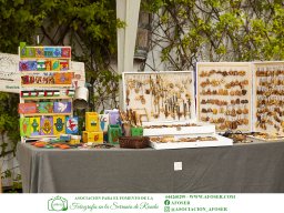 Festival Mar de Tethys 2026 - Bodega Vetas
